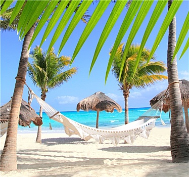 加勒比,海滩,吊床,棕榈树