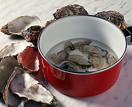 牡蛎,水,炖锅