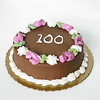 巧克力,生日蛋糕,100