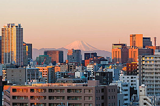 日本,本州,东京,城市天际线,山,富士山