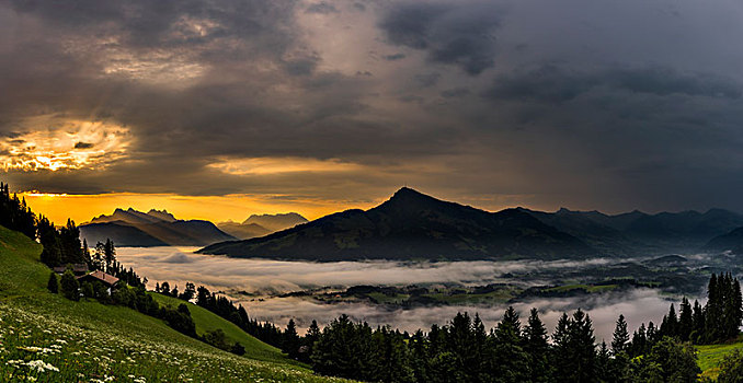山,草地,山顶,海洋,雾,日出,提洛尔,奥地利,欧洲