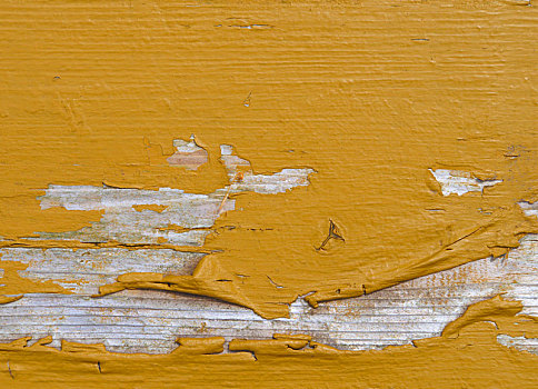 黄色,掉漆,木头,纹理,背景