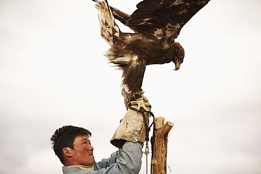 男人,鹰,乌兰巴托,蒙古