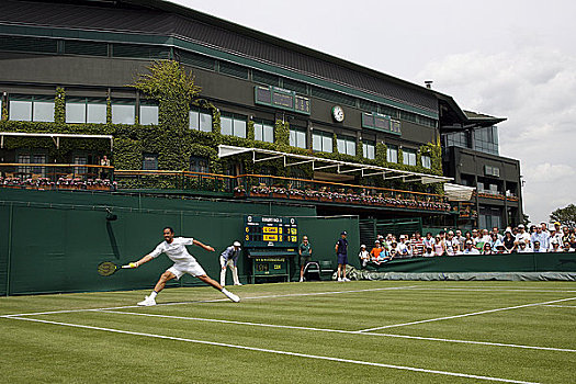 英格兰,伦敦,温布尔登,动作,球场,中心,背景,网球,冠军,2008年