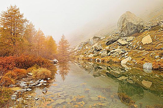 高山湖,雾,策马特峰,阿尔卑斯山,瓦莱,瑞士