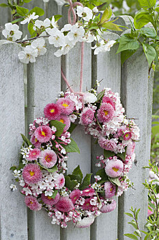粉色,花环,荚莲属植物,绣线菊属