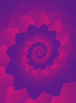 紫色粉色渐变螺旋状,抽象花瓣海报背景