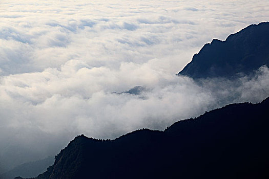 山,云海,雾