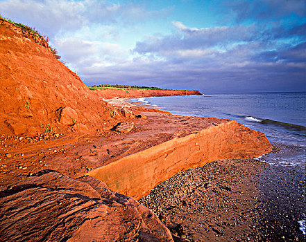 红色,海岸线,头部,爱德华王子岛,国家公园,加拿大