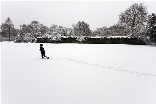 男孩,走,雪地