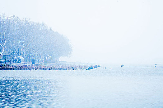 西湖,风光,雪景