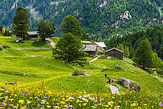 山,小屋,徒步旅行,乡村,靠近,策马特峰,瑞士
