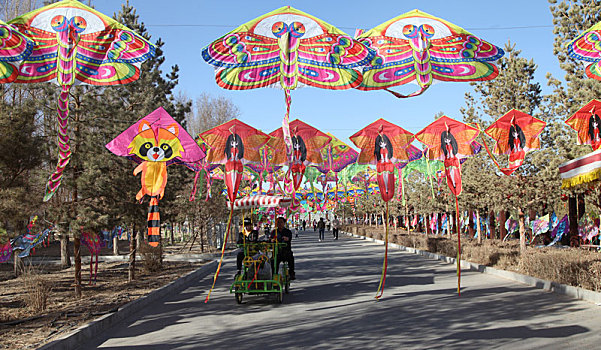 新疆哈密举办首届风筝节,纸鸢飞天,筝,奇斗艳