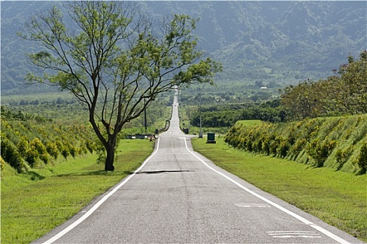 道路,无人