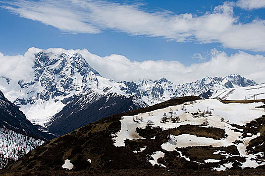 白马雪山