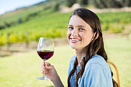 女人,微笑,头像,拿着,红酒,葡萄园