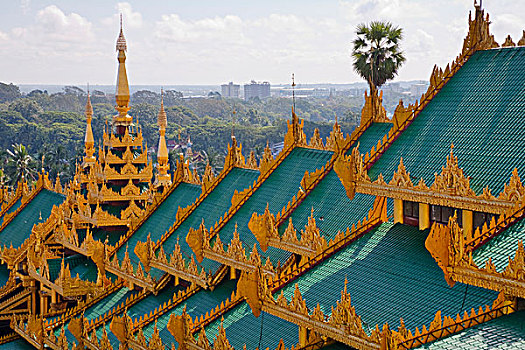 屋顶,大金塔,仰光,缅甸