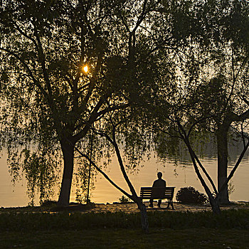 杭州西湖苏堤之晨
