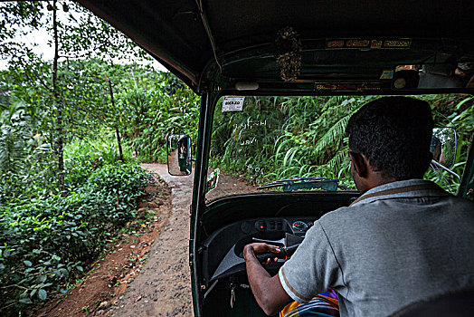 嘟嘟车,驾驶员,小,道路,粗厚,植被,树林,自然保护区,斯里兰卡,亚洲