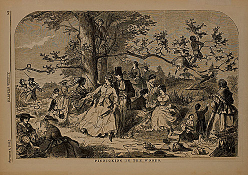 出游,木头,九月,1858年,人,野餐,休闲,历史
