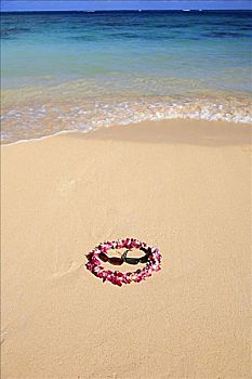 兰花,花环,墨镜,沙子,海滩,泡沫,岸边,水