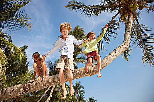 男孩,姐妹,跳跃,棕榈树,岛屿,马来西亚