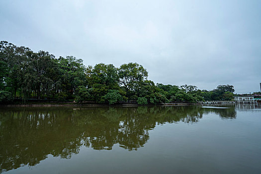 广州2023年春季天河公园的湖水与绿树相得益彰