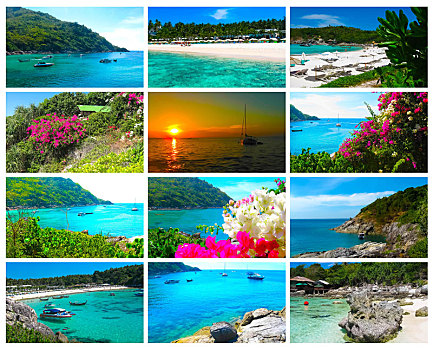 漂亮,海滩,热带海岛,苏梅岛,抽象拼贴画