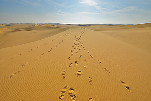 脚印,沙滩,沙丘,利比亚沙漠,撒哈拉沙漠,埃及,非洲