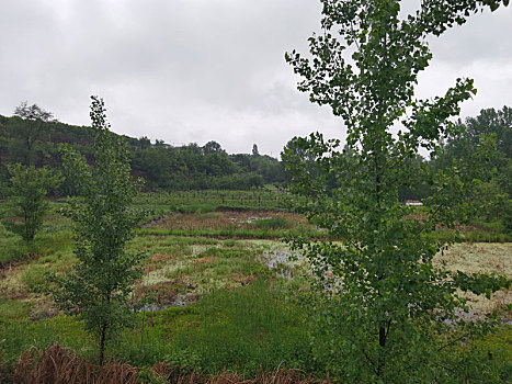 田野乡村,乡村风光,田园风光,乡村风景,田园风景,自然风光