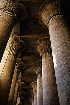 埃及,尼罗河,庙宇,神,室内,柱子