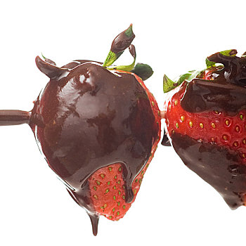 草莓,巧克力,隔绝,白色背景