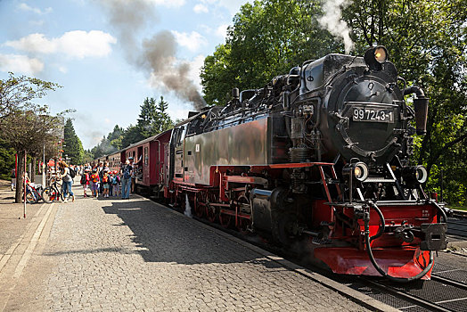 火车头,旅游,乘坐,萨克森安哈尔特,德国,欧洲