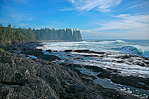 大,海浪,植物,湾,靠近,西部,海岸,温哥华岛,不列颠哥伦比亚省,加拿大