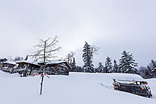 走进,中国雪乡,探访冬日里的童话世界