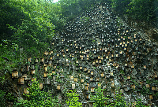 神农架,官门山,风景,景点,旅游,高山,瀑布,河流,神秘,树木,植被,野人,动物,标本,展览,雕塑,蜂箱,养蜂,蜜蜂