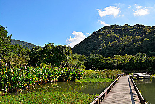 宁波天童禅寺