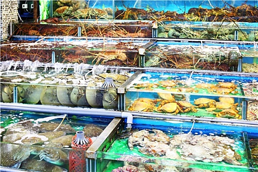 海鲜,市场,鱼缸,香港