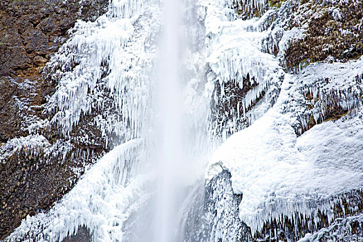 马尔特诺马瀑布,冬天,哥伦比亚河峡谷,俄勒冈,美国