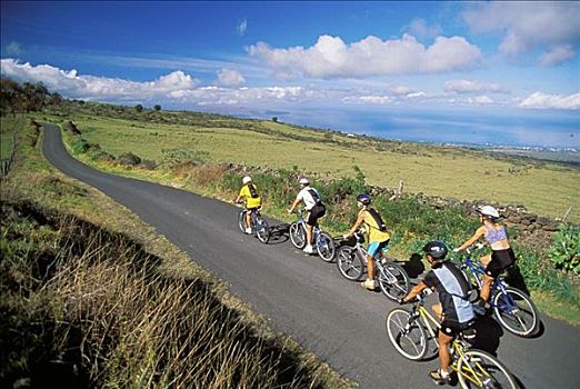 夏威夷,毛伊岛,山地车手,道路,享受,景色,乡村