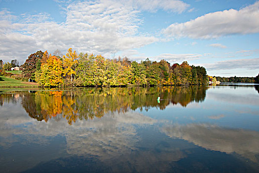 纽约,伊利湖,运河,早晨,秋天,反射,靠近,三个,河,大幅,尺寸