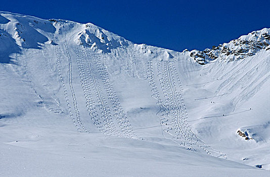 边远地区,滑雪轨迹,大,棉白杨,峡谷,国家森林,靠近,盐湖城,犹他