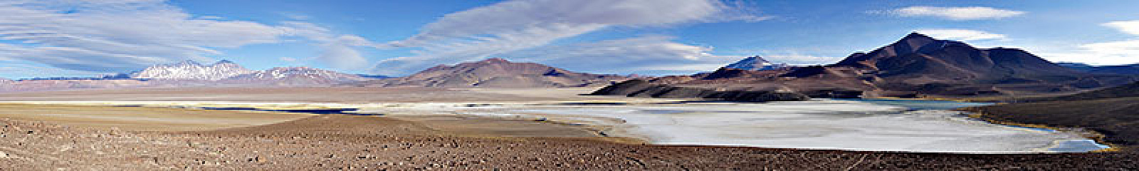 泻湖,粉色,火山,内华达,国家公园,区域,阿塔卡马沙漠,智利,南美