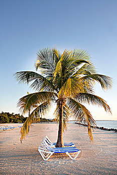 沙滩椅,沙滩,佛罗里达礁岛群,美国