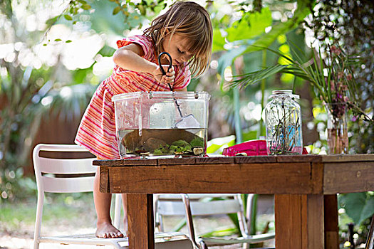 女孩,站立,椅子,舀具,渔网,塑料制品,蝌蚪,水塘,花园桌