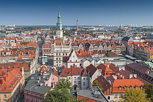 风景,城堡,塔,市政厅,老,建筑,中心,波兰,城市,波兹南