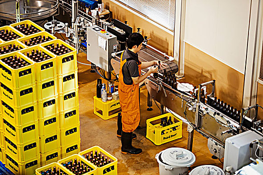 工作,站立,靠近,黄色,塑料制品,板条箱,啤酒瓶,酒厂