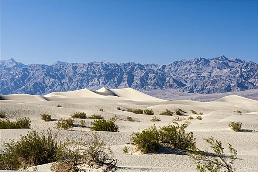 沙子,死谷,国家公园,美国