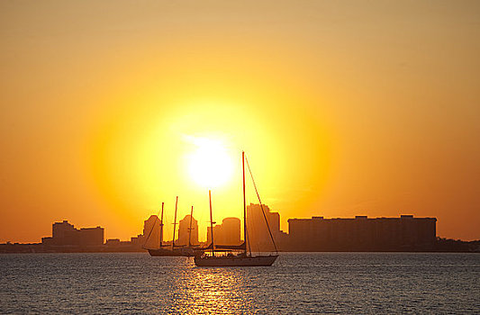 剪影,帆船,日落,迈阿密,佛罗里达,美国