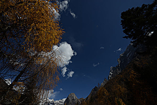 双桥沟四姑娘山景区